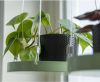 Esschert Design Plantenblad hangend rond L groen online kopen